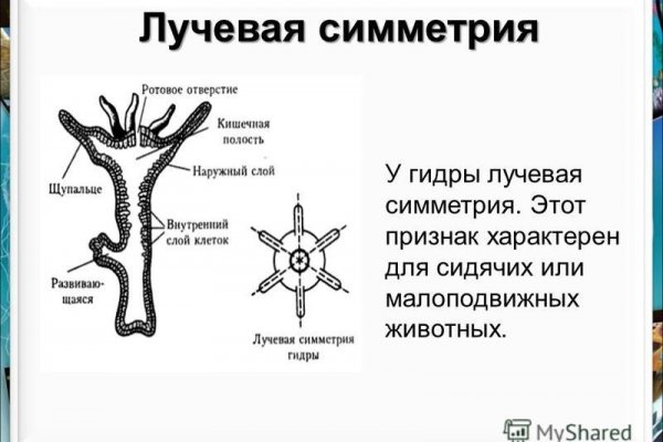 Кракен сайт